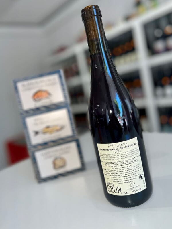 Plasma 2025 - Domaine de la Petite Sœur