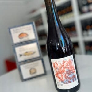 Plasma 2025 – Domaine de la Petite Sœur front