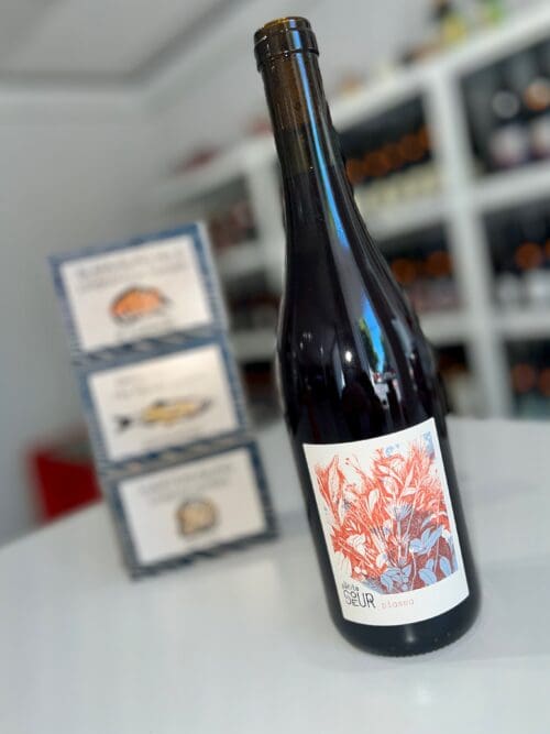 Plasma 2025 - Domaine de la Petite Sœur