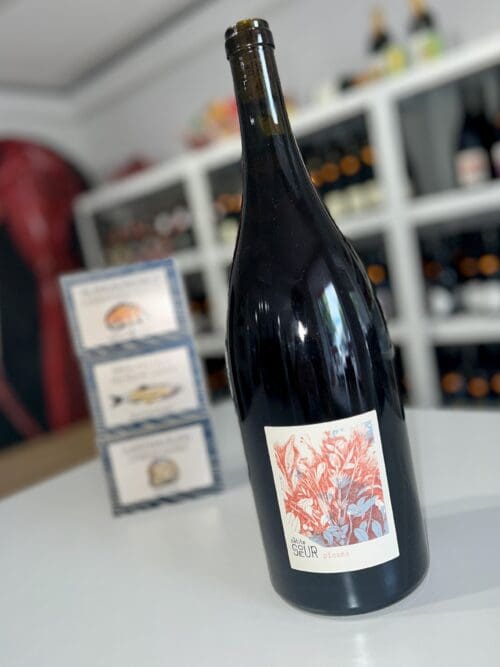 Plasma Magnum 2025 - Domaine de la Petite Sœur